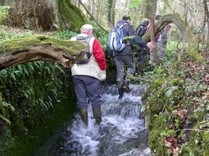 Picture of botanists in a stream